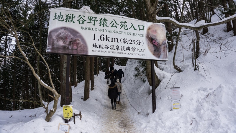 The trail head to the Jigokudani Snow Monkey Park
