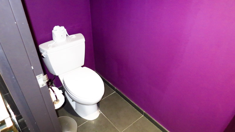 Small and dark separate toilet area