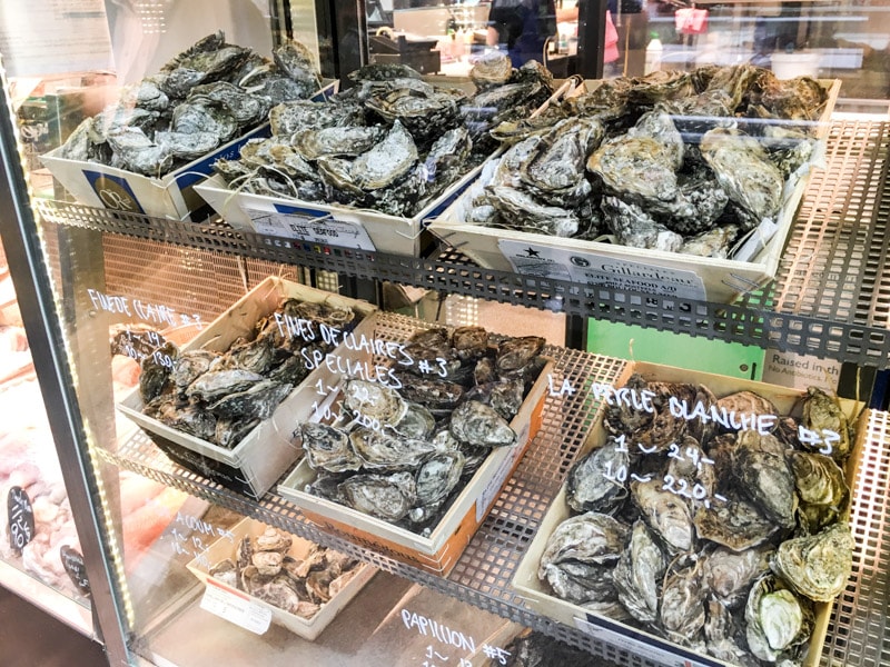 Fresh oysters