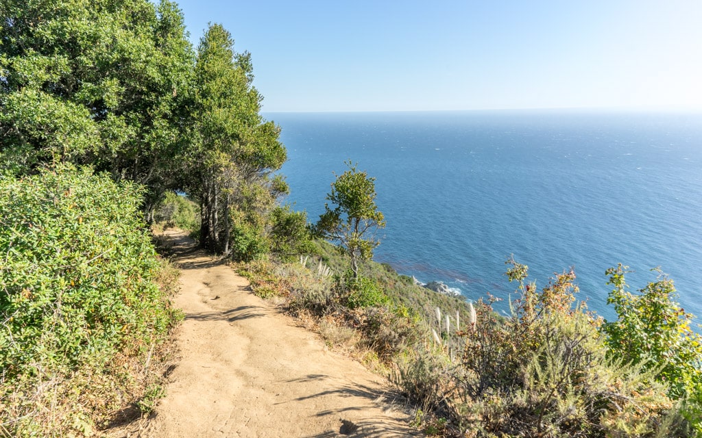 Hiking up Ewoldsen Trail for the ocean views is worth the effort