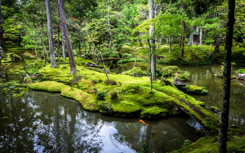 Kokedera, better known as the Moss Temple , Kyoto