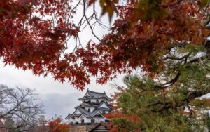 The main keep of Hikone Castle