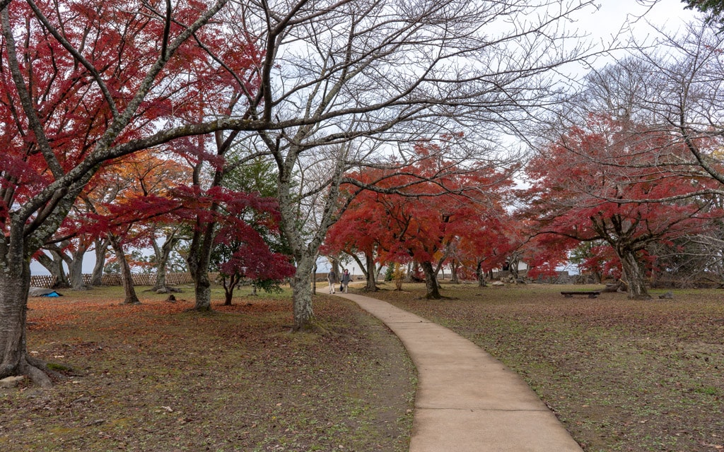 Castle grounds in the fall