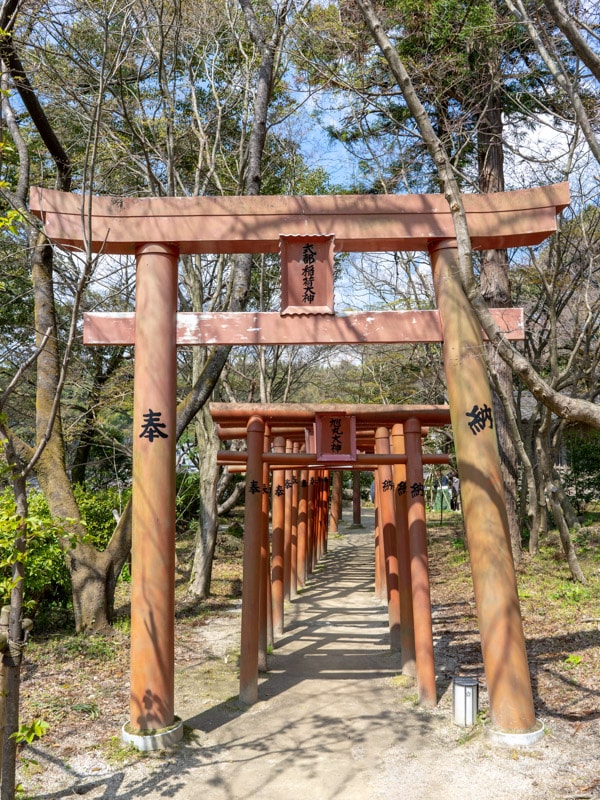 Tunnel of torii gates, Kamado Shrine, Dazaifu, Fukuoka, Japan