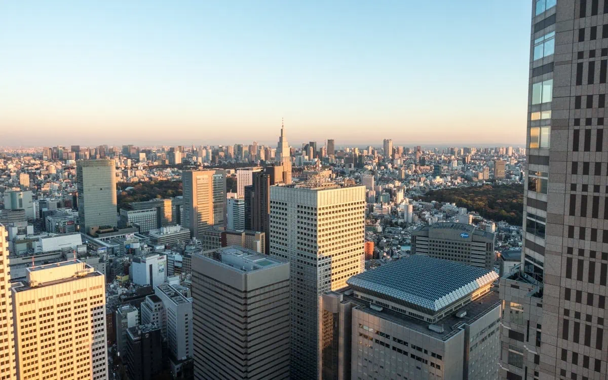 View from the Tokyo Metropolitan Government Building Observatories