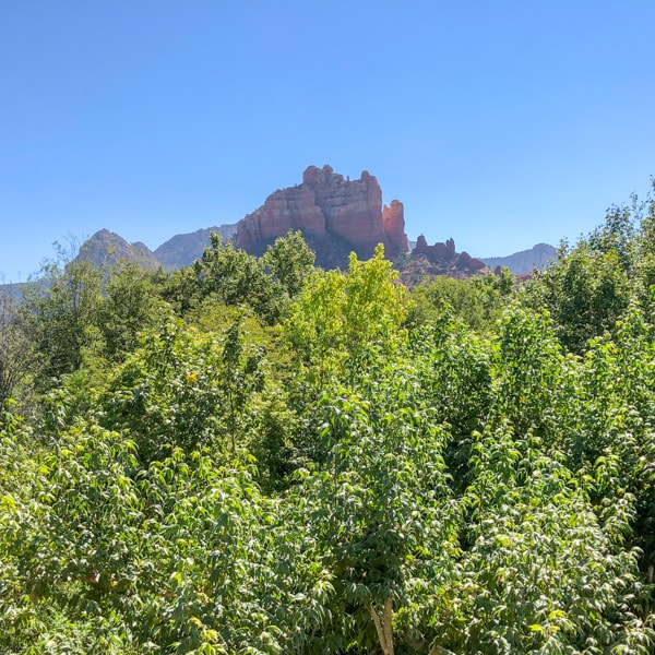 Beautiful red rocks in the distance