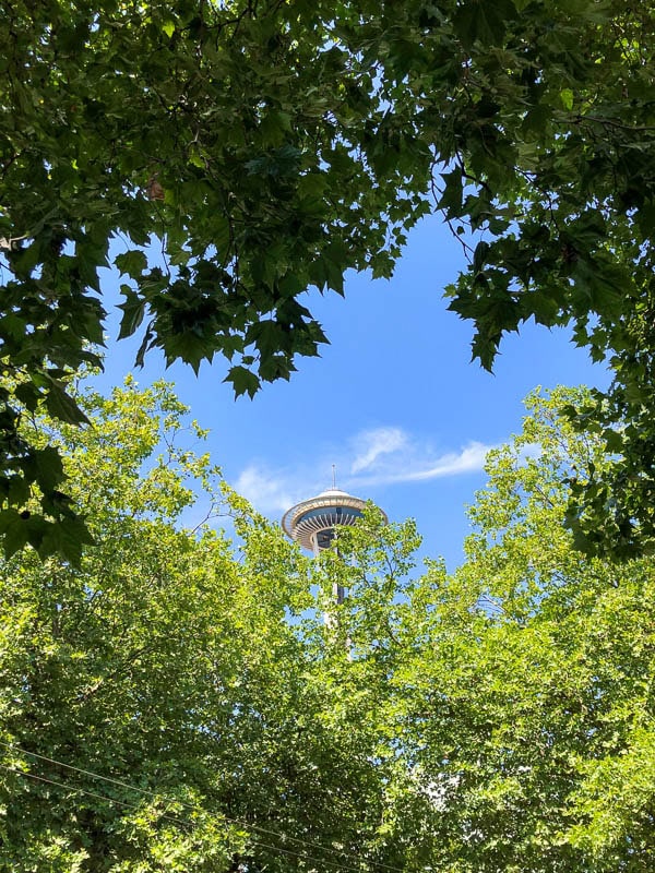 View of Space Needle